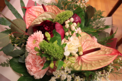 wwwprofesor-honorowy-us-2